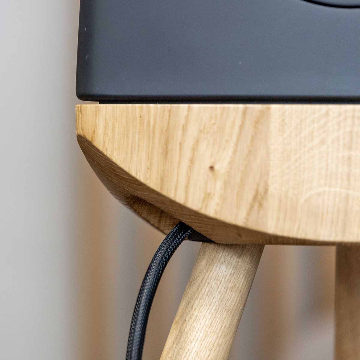 Lyngdorf Cue-100 Speaker closeup detail of oak base and speaker cable port