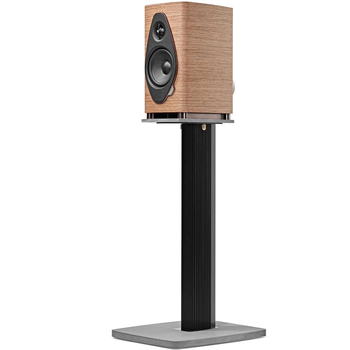 Sonus Faber Sonetto I G2 Bookshelf Loudspeaker - Pair - Walnut three-quarter view