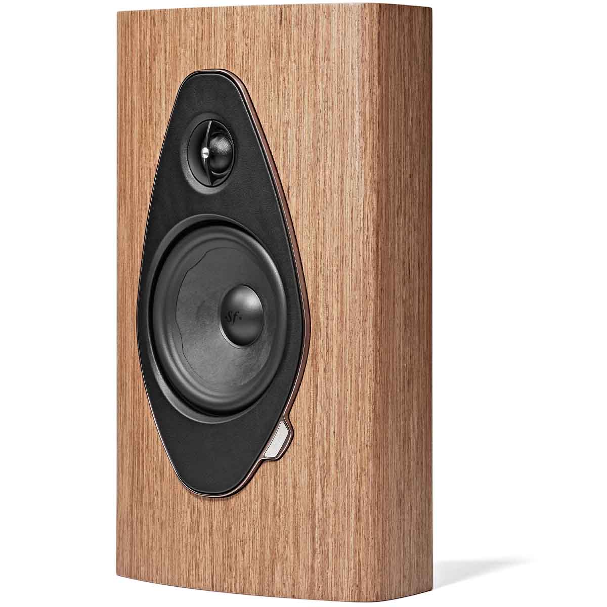Sonus Faber Sonetto On Wall G2 Speaker - Walnut - single speaker three-quarter view