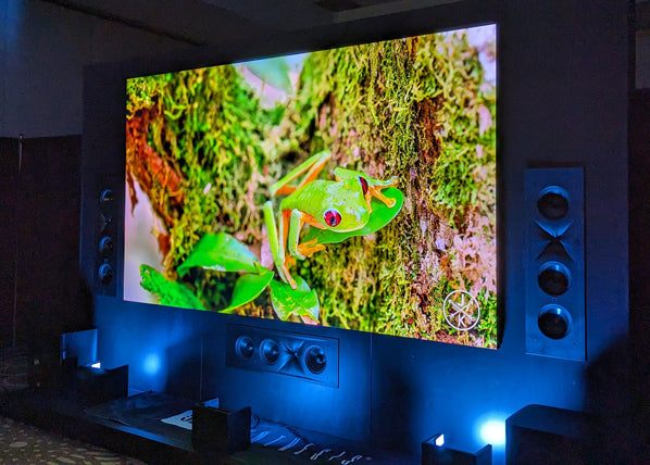A large wall-mounted cinema screen displaying a vivid close-up of a green tree frog.