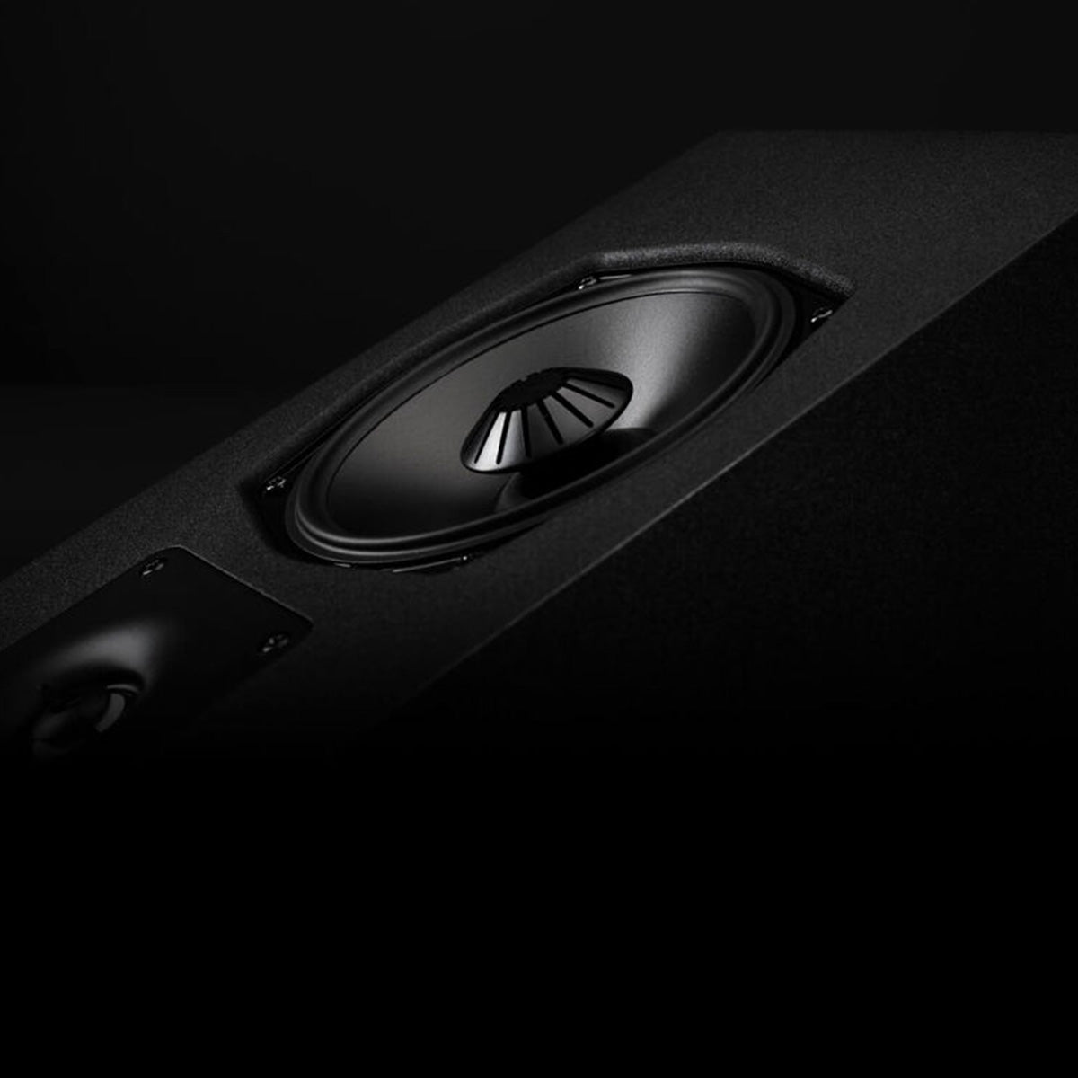 Definitive Technology Dymension DM95 Wall-Mountable Surround Speaker - Pair side view of woofer