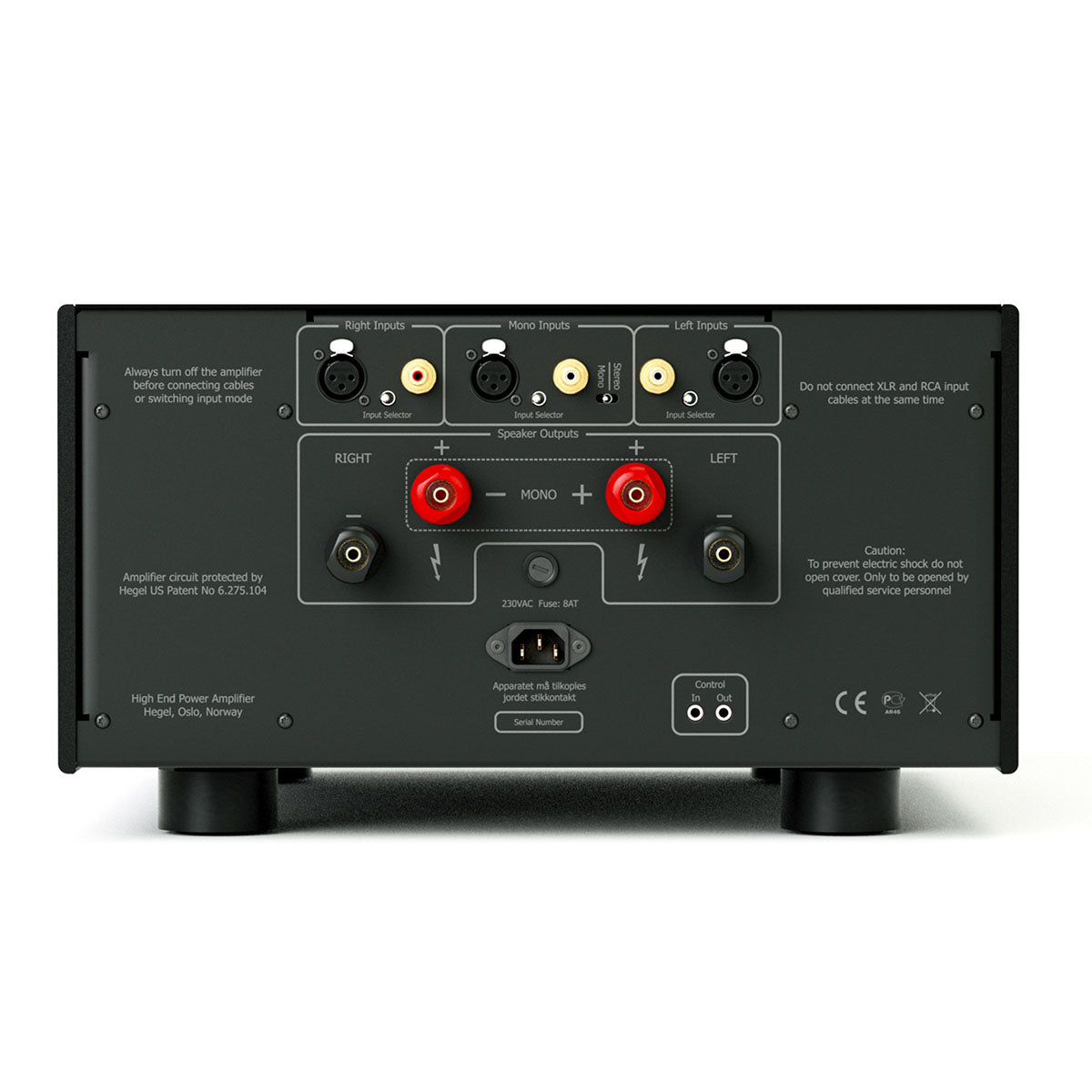 Hegel H30A 1-Channel Power Amplifier back view