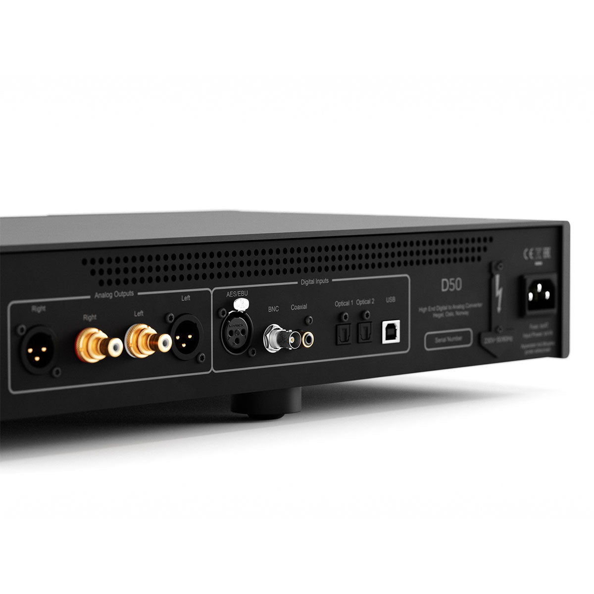 Hegel D50 The Raven Reference DAC - zoomed and angled rear view