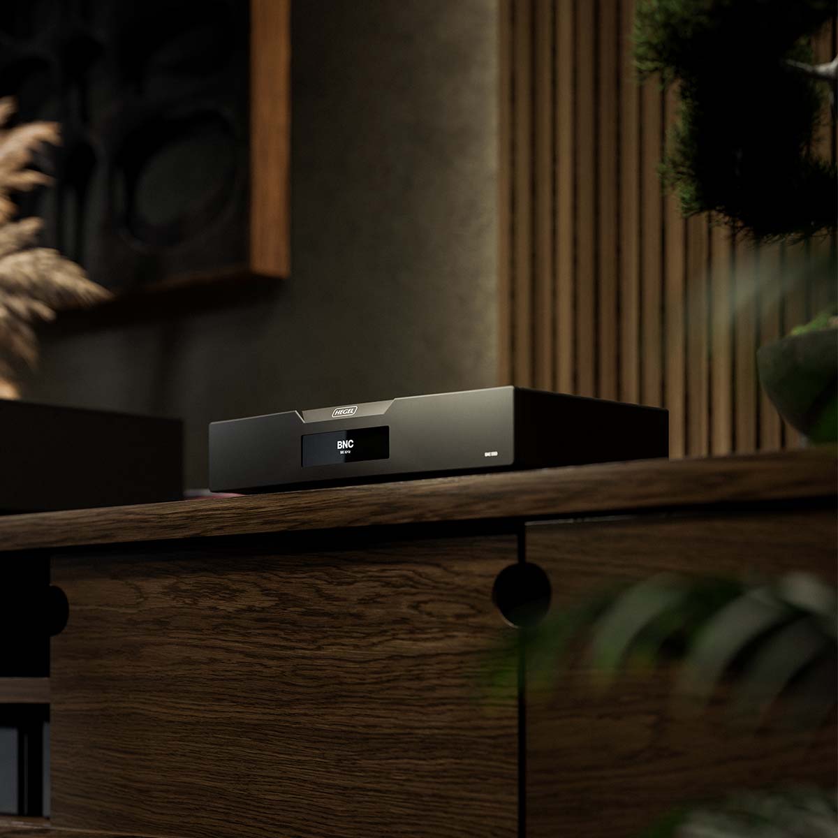 Hegel D50 The Raven Reference DAC - lifestyle image