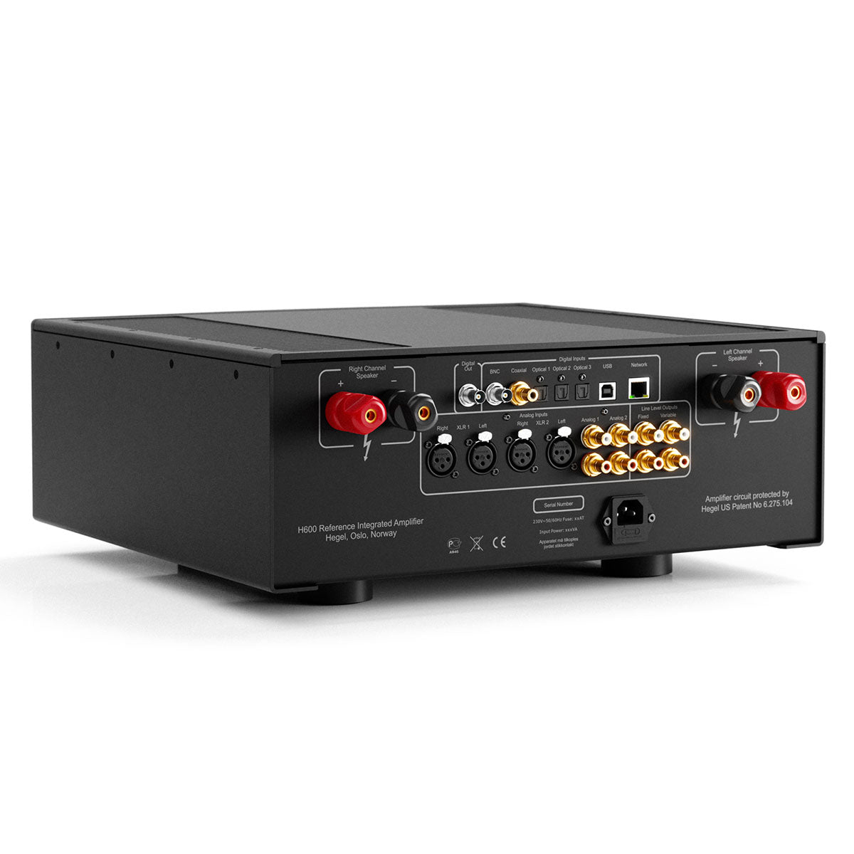Hegel H600 Integrated Amplifier back view angled right