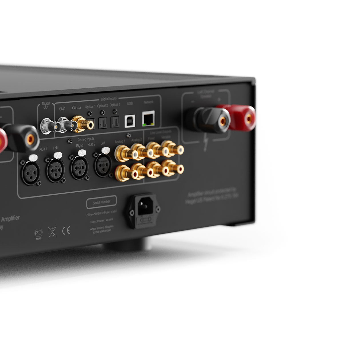 Hegel H600 Integrated Amplifier back view angled right close-up of right side