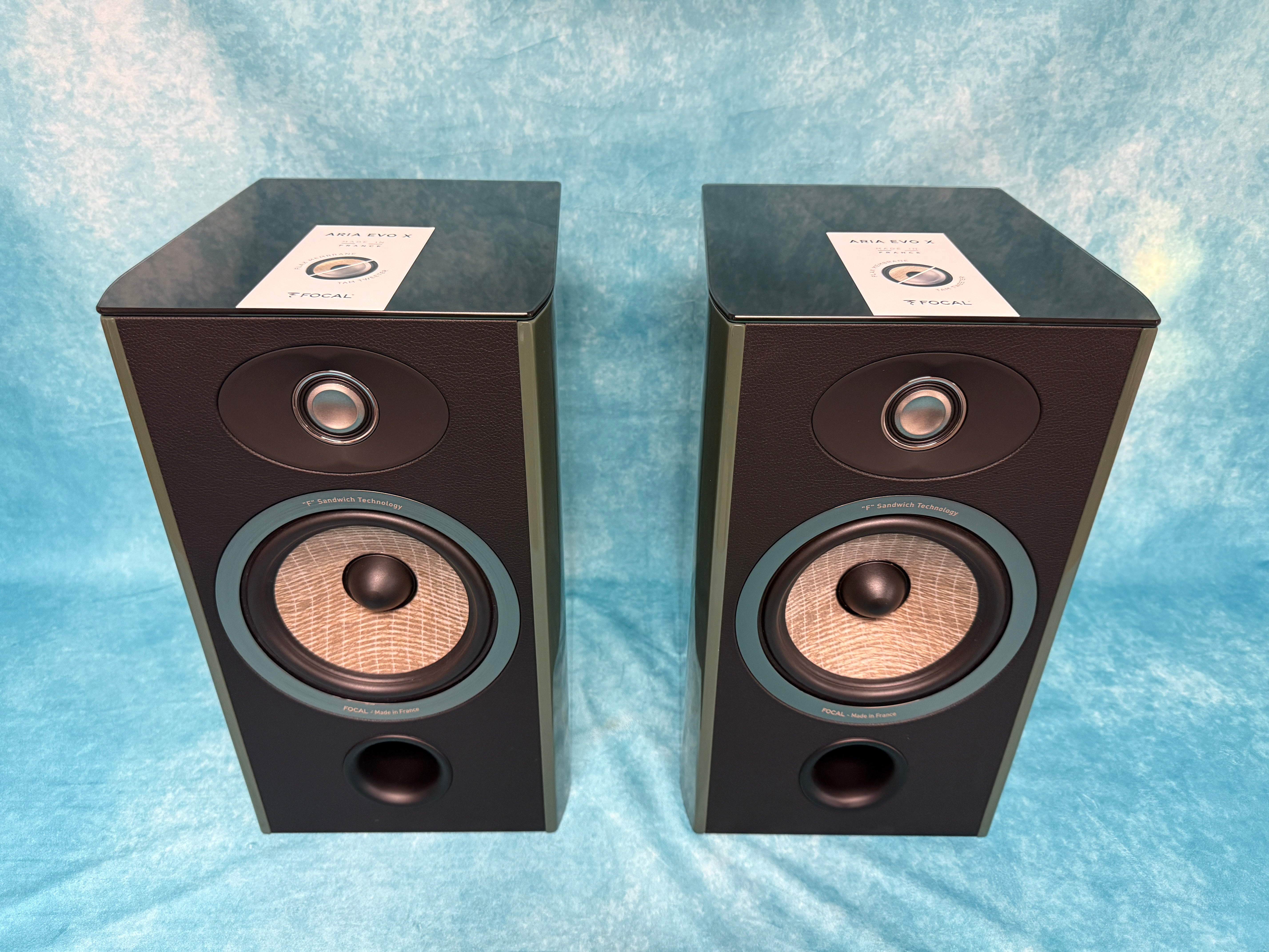 FOCAL:ARIAEVOXN1-MGRN-PR-BSC 3