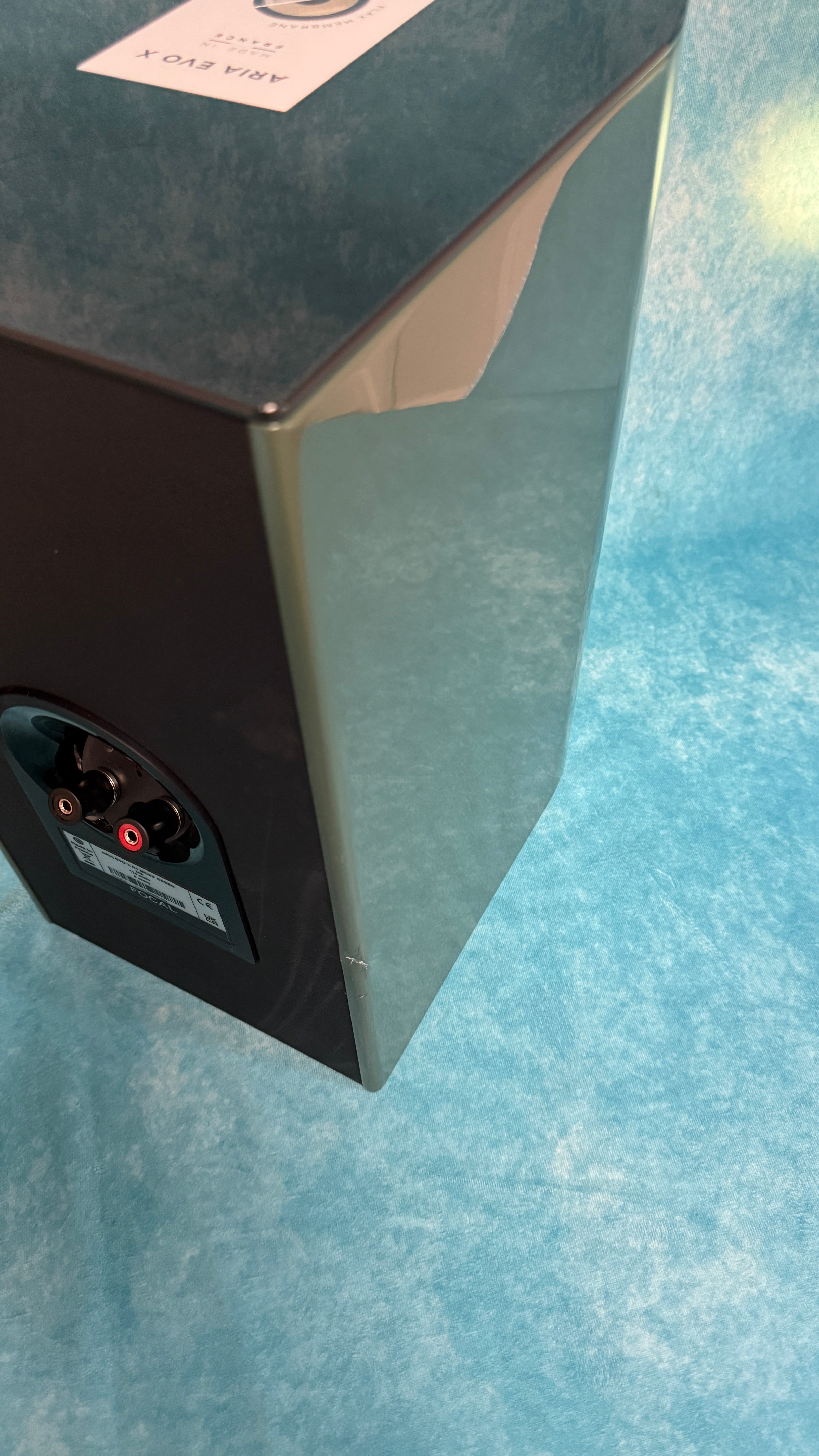 FOCAL:ARIAEVOXN1-MGRN-PR-BSC 11