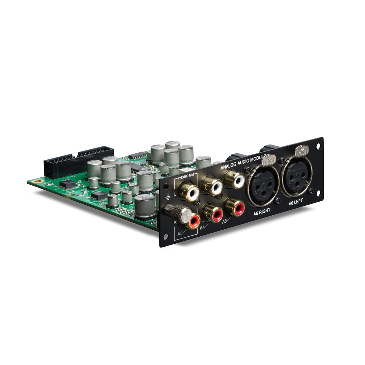 Lyngdorf analog audio module