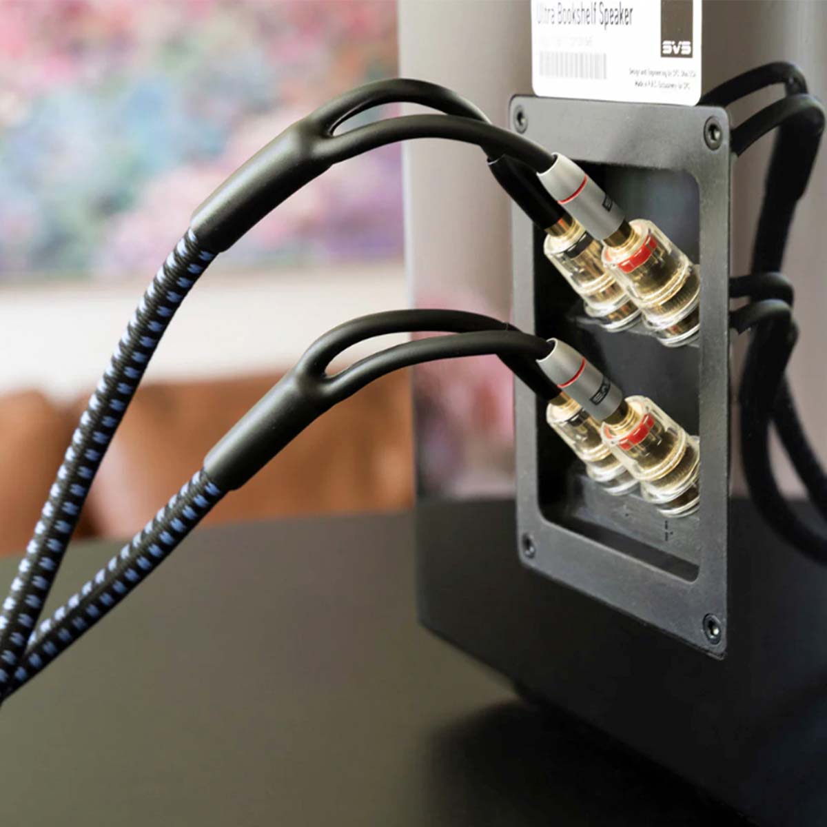 SVS SoundPath Ultra Bi-Wire Speaker Cable - lifestyle image