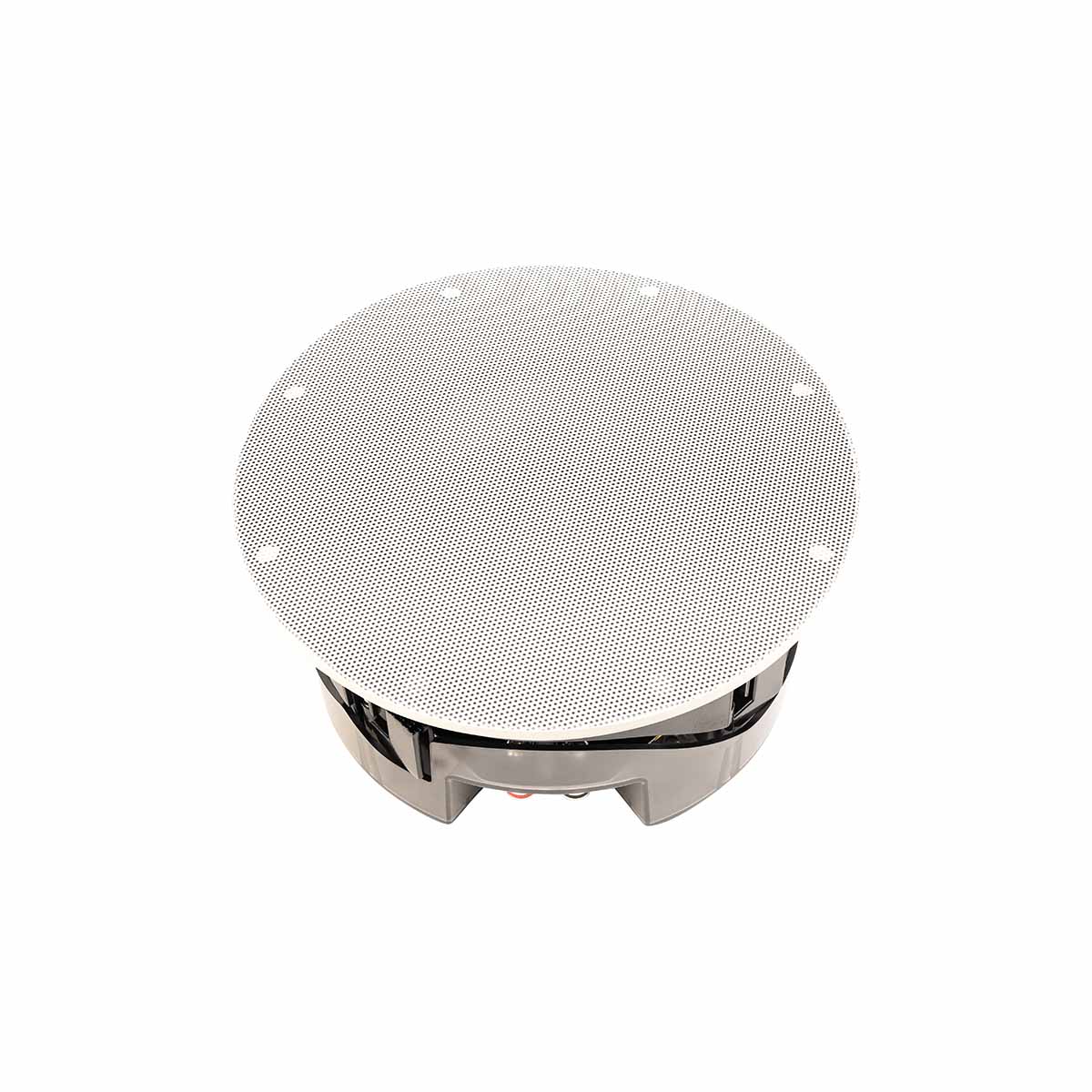Paradigm CI Pro P65-RX v2 6.5” Round High-Moisture In-Ceiling Speaker - Each - low-angle front view with grille
