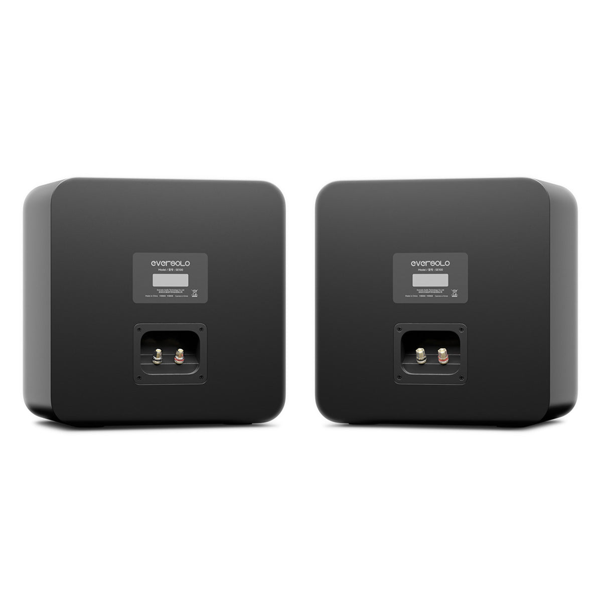 EverSolo SE100 Passive HiFi Bookshelf Speakers - Pair - rear view