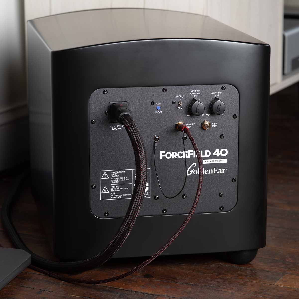 GoldenEar ForceField 40 - 10” Compact Subwoofer - Black - close-up of rear view with connections