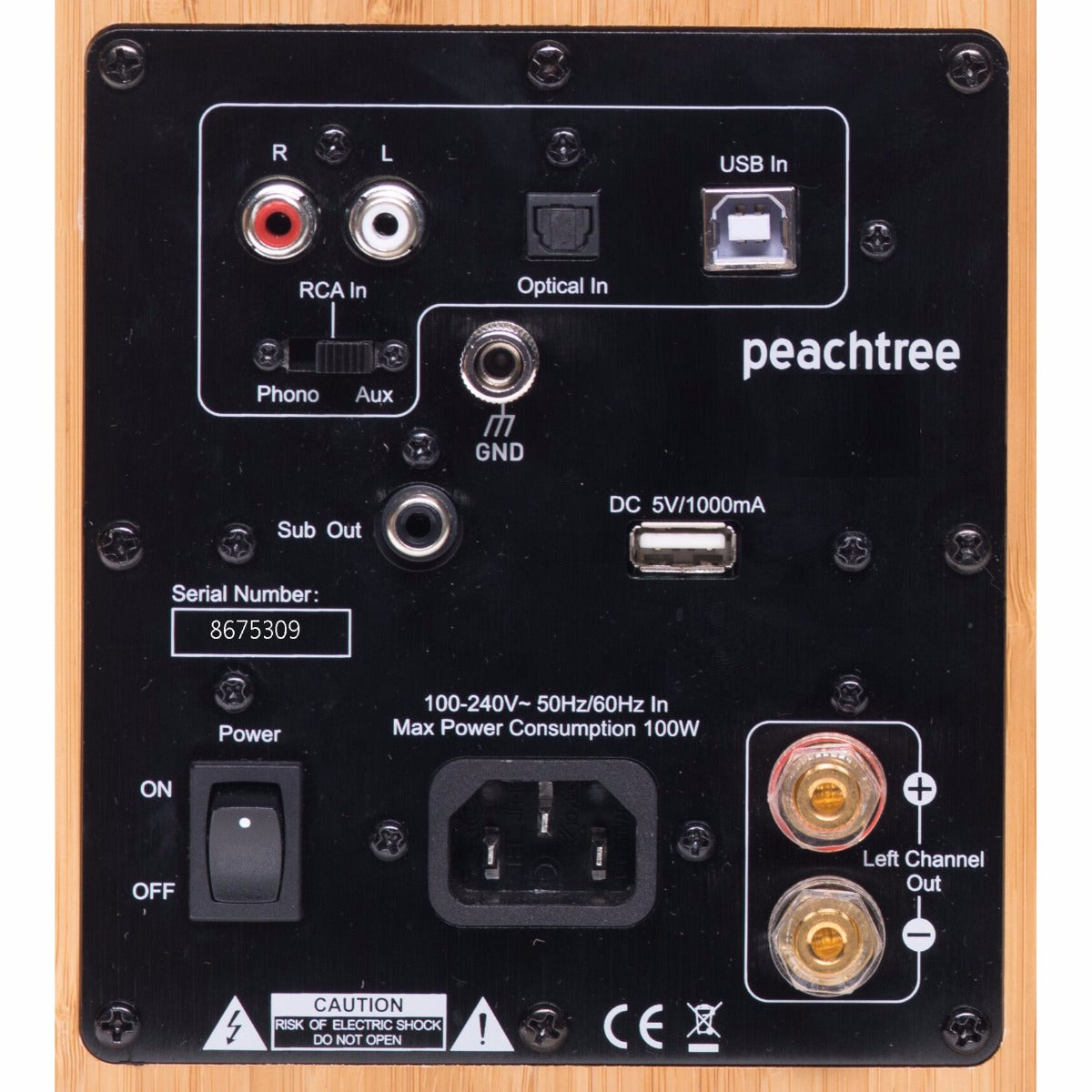 Peachtree M24 Powered Speakers