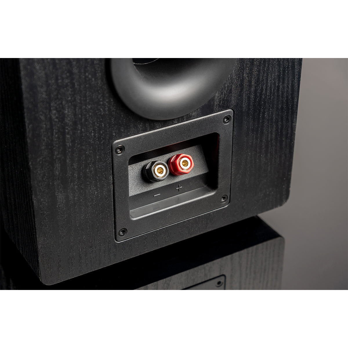 Prime Pinnacle Speaker