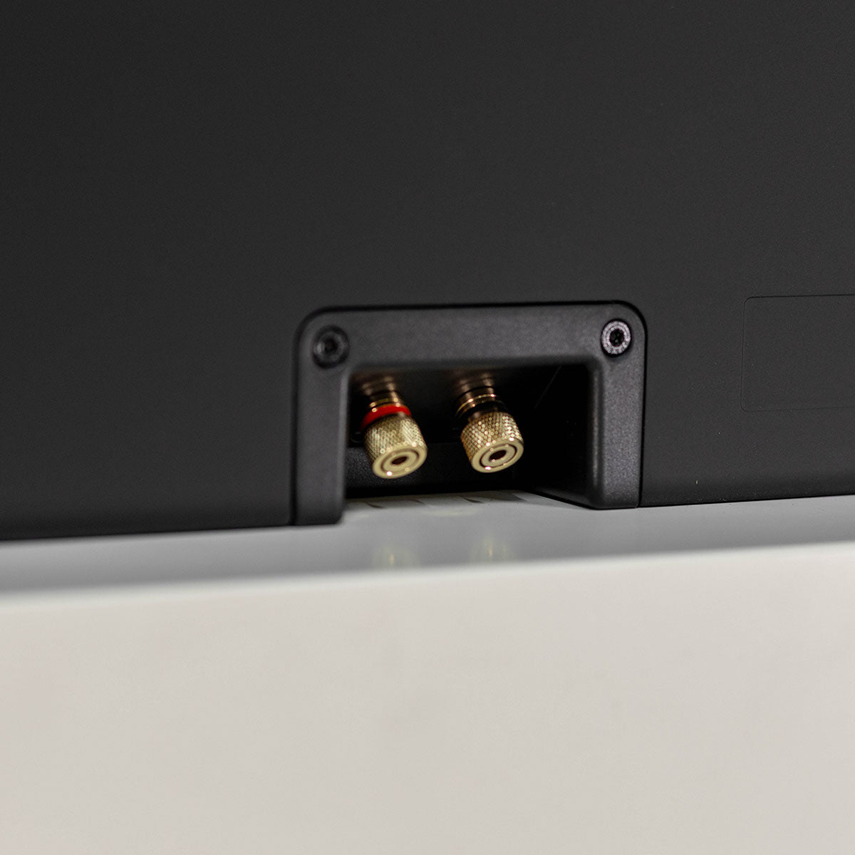 Lyngdorf LCR-2 On-Wall LCR Speaker - single black speaker detail of rear speaker binding posts