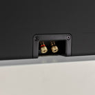Lyngdorf LCR-2 On-Wall LCR Speaker - single black speaker detail of rear speaker binding posts