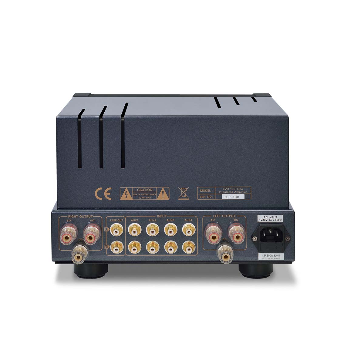 PrimaLuna Evo 100 Tube Integrated Amplifier - rear view