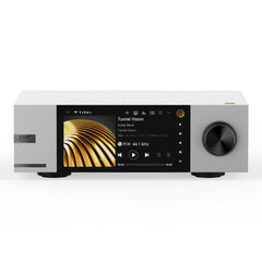 EverSolo DMP-A6 Master Edition Gen 2 - silver front view
