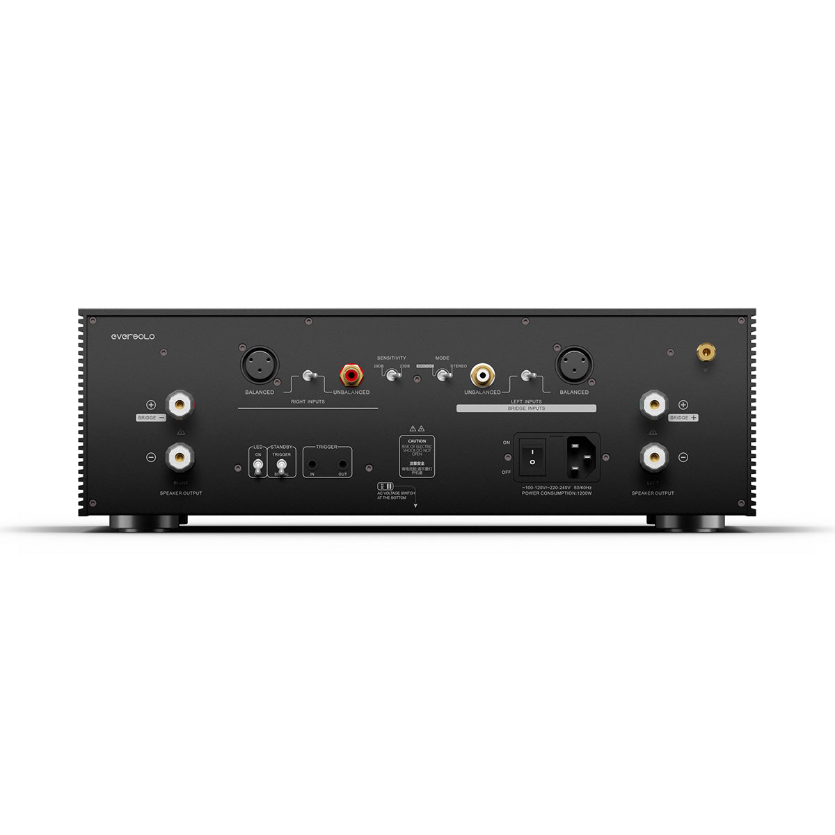 EverSolo AMP-F8 rear view