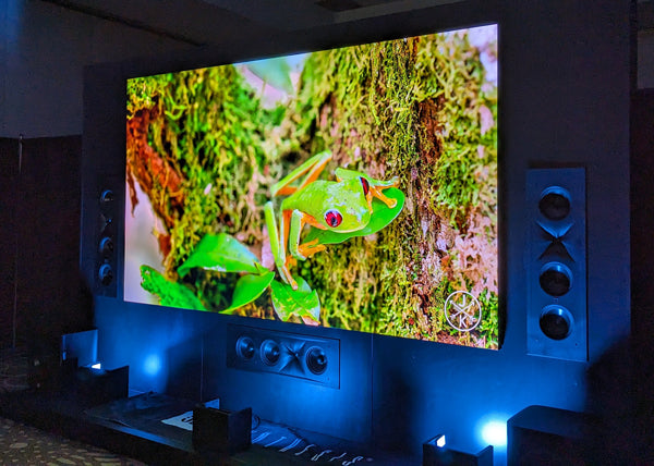 A large wall-mounted cinema screen displaying a vivid close-up of a green tree frog.