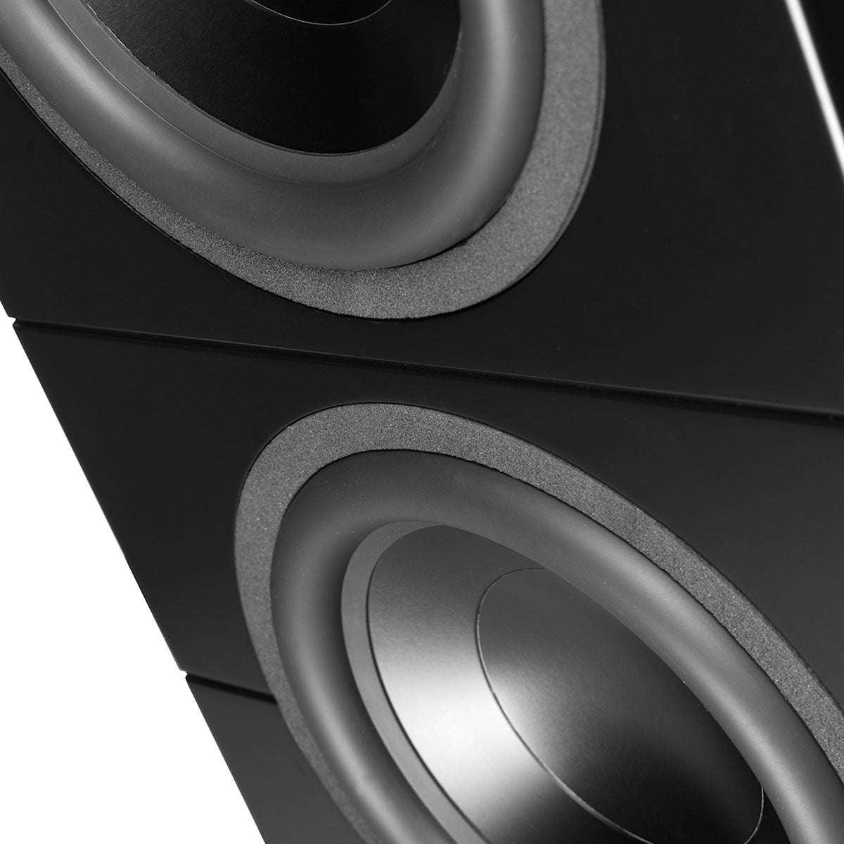 Lyngdorf BW-20 Passive Dual 12" Boundary Woofer close-up
