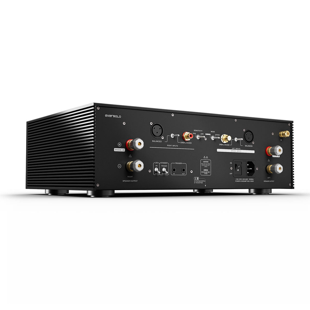 EverSolo AMP-F8 angled rear view