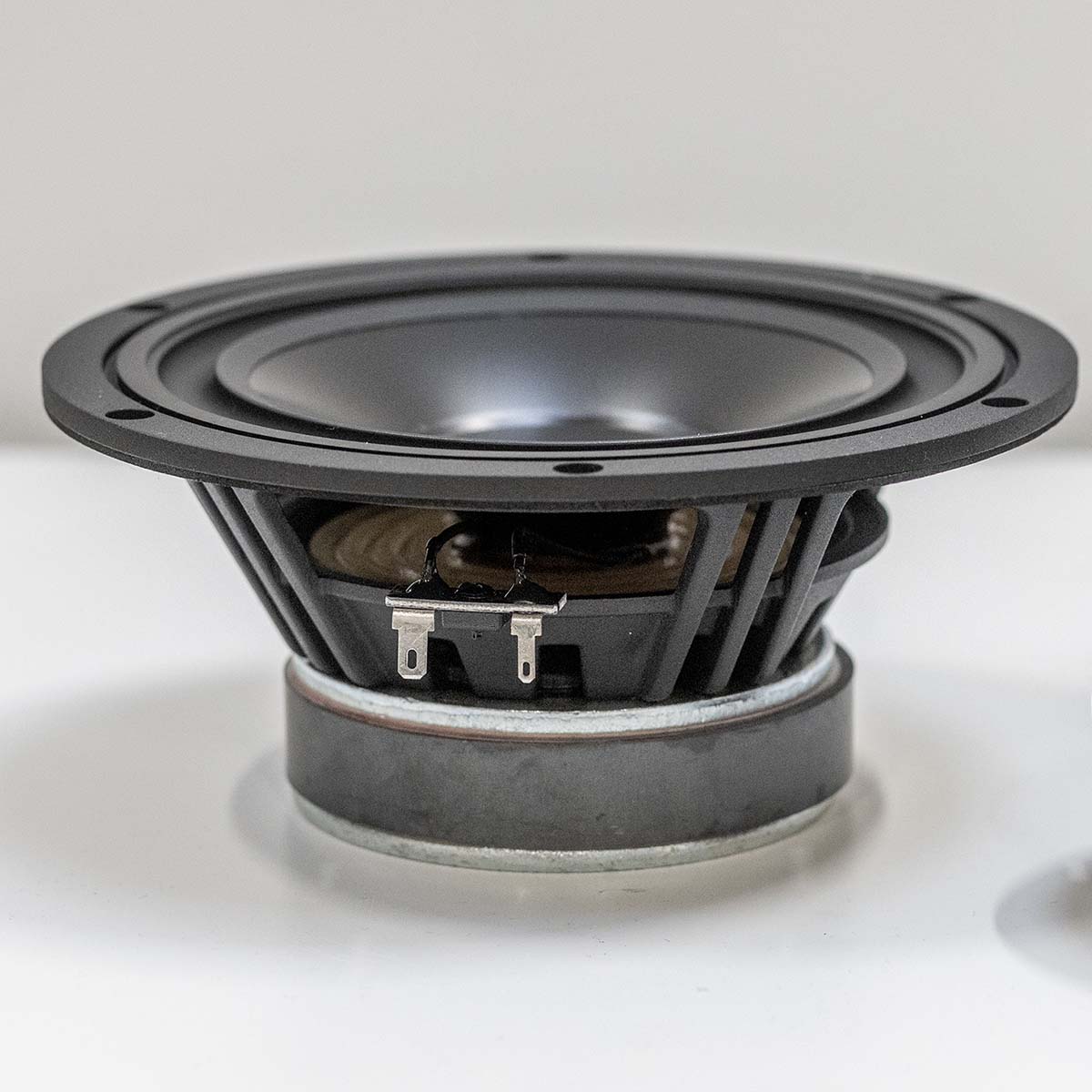 Lyngdorf FR-2 Speaker - closeup of driver removed from unit