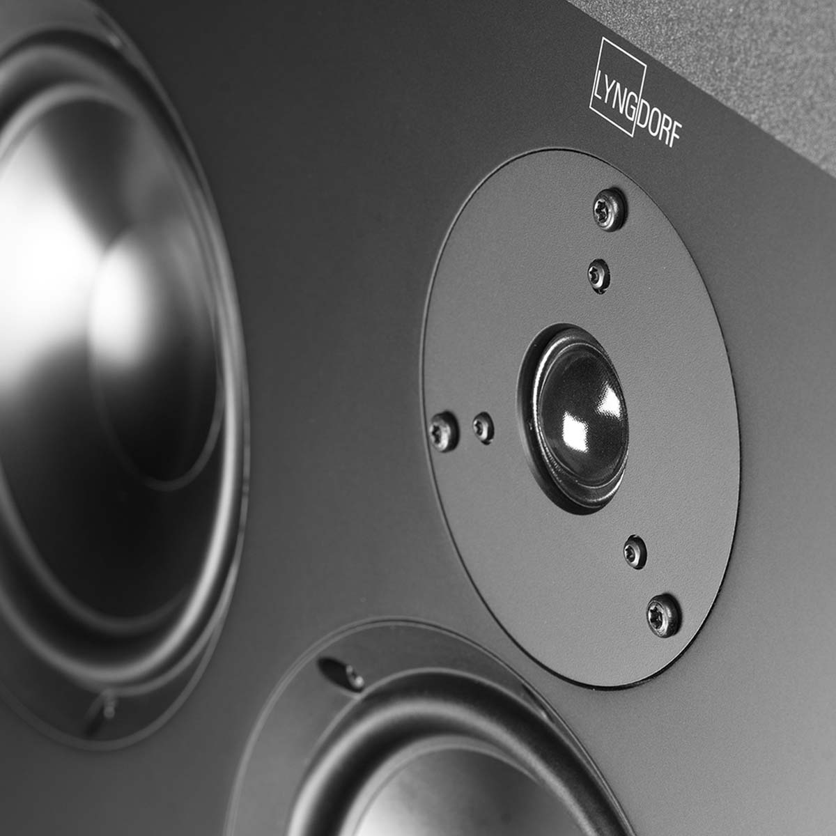 Lyngdorf D-500 Center Speaker front view detail