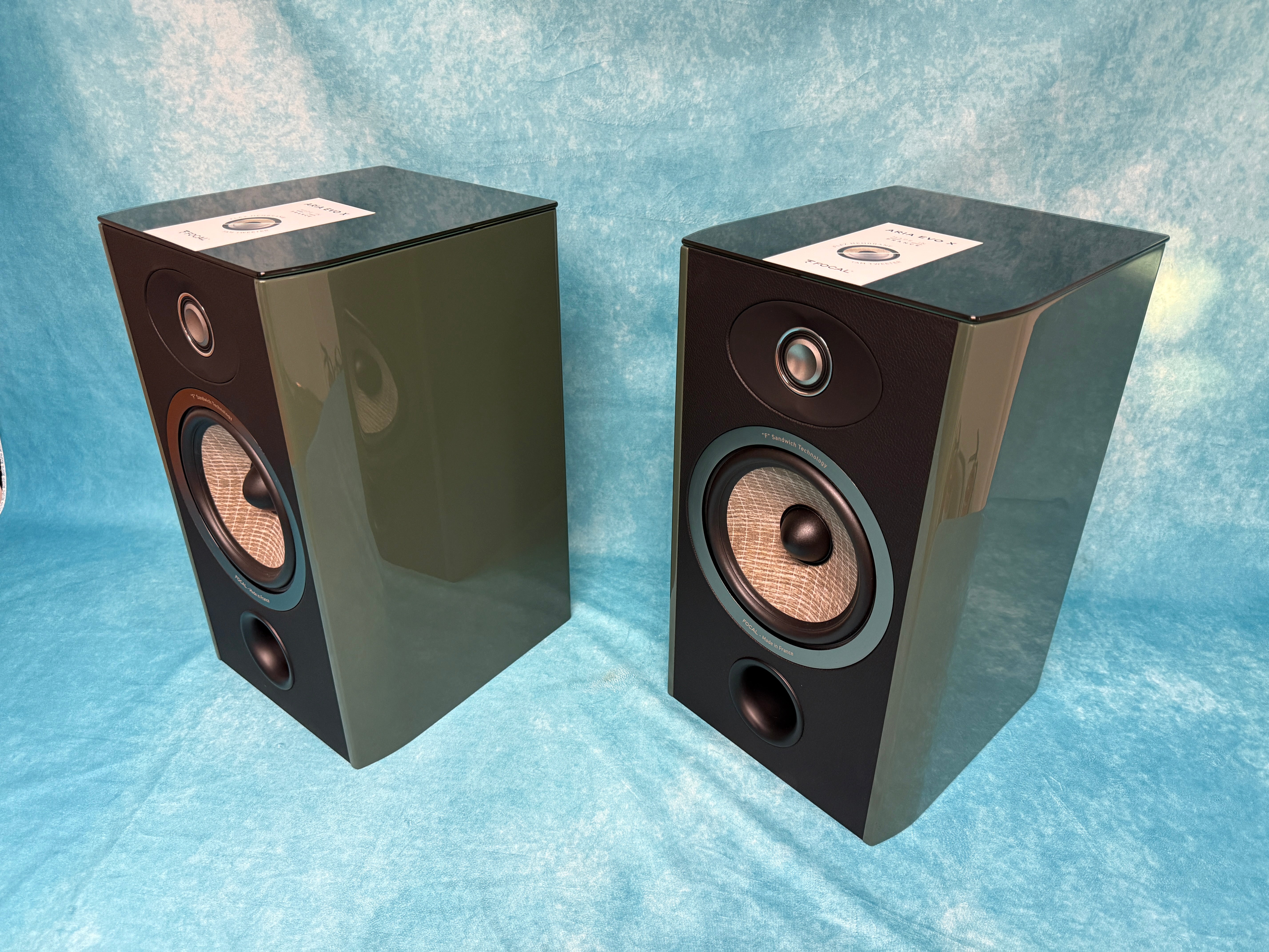 FOCAL:ARIAEVOXN1-MGRN-PR-BSC 5