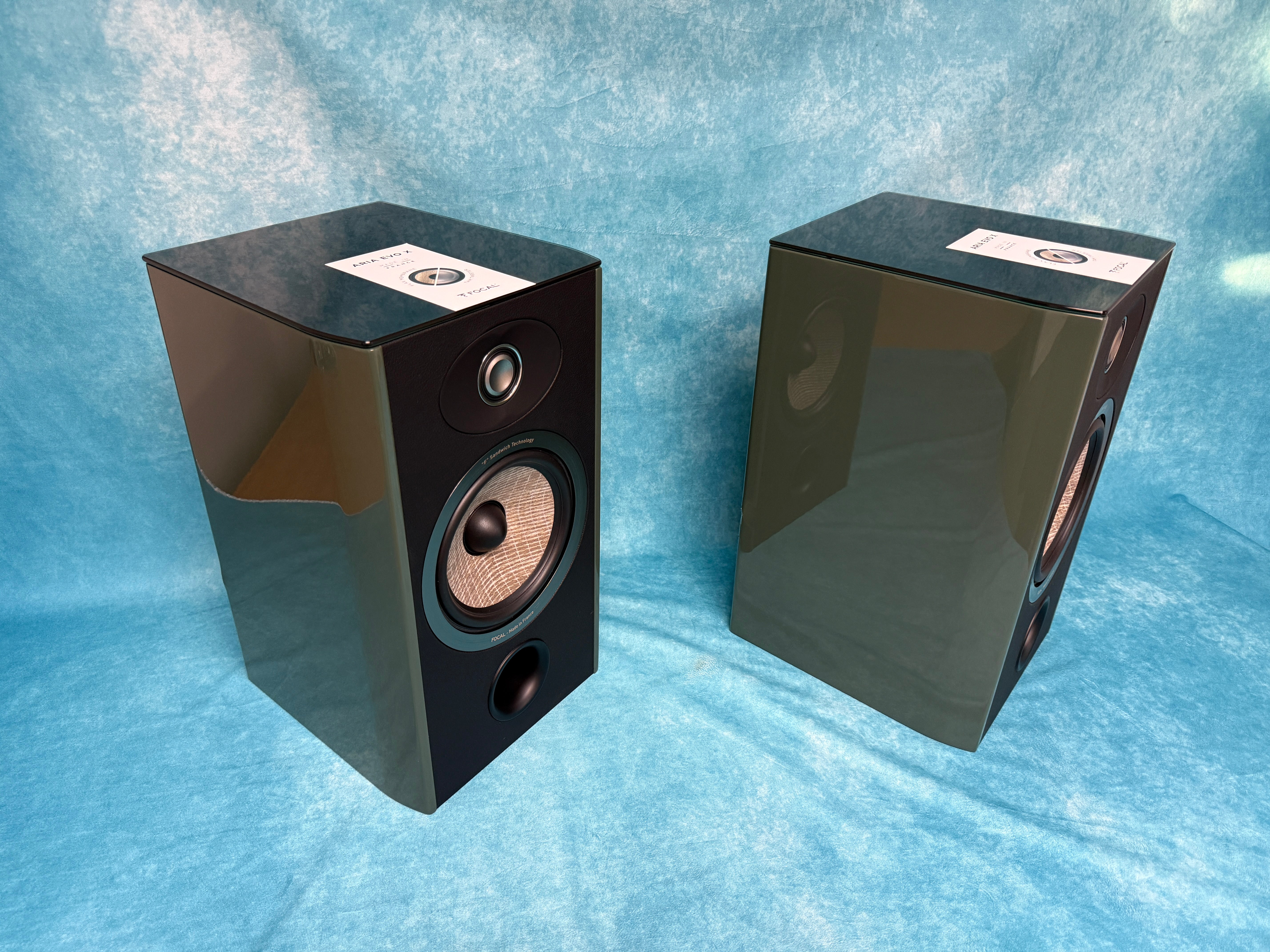 FOCAL:ARIAEVOXN1-MGRN-PR-BSC 4