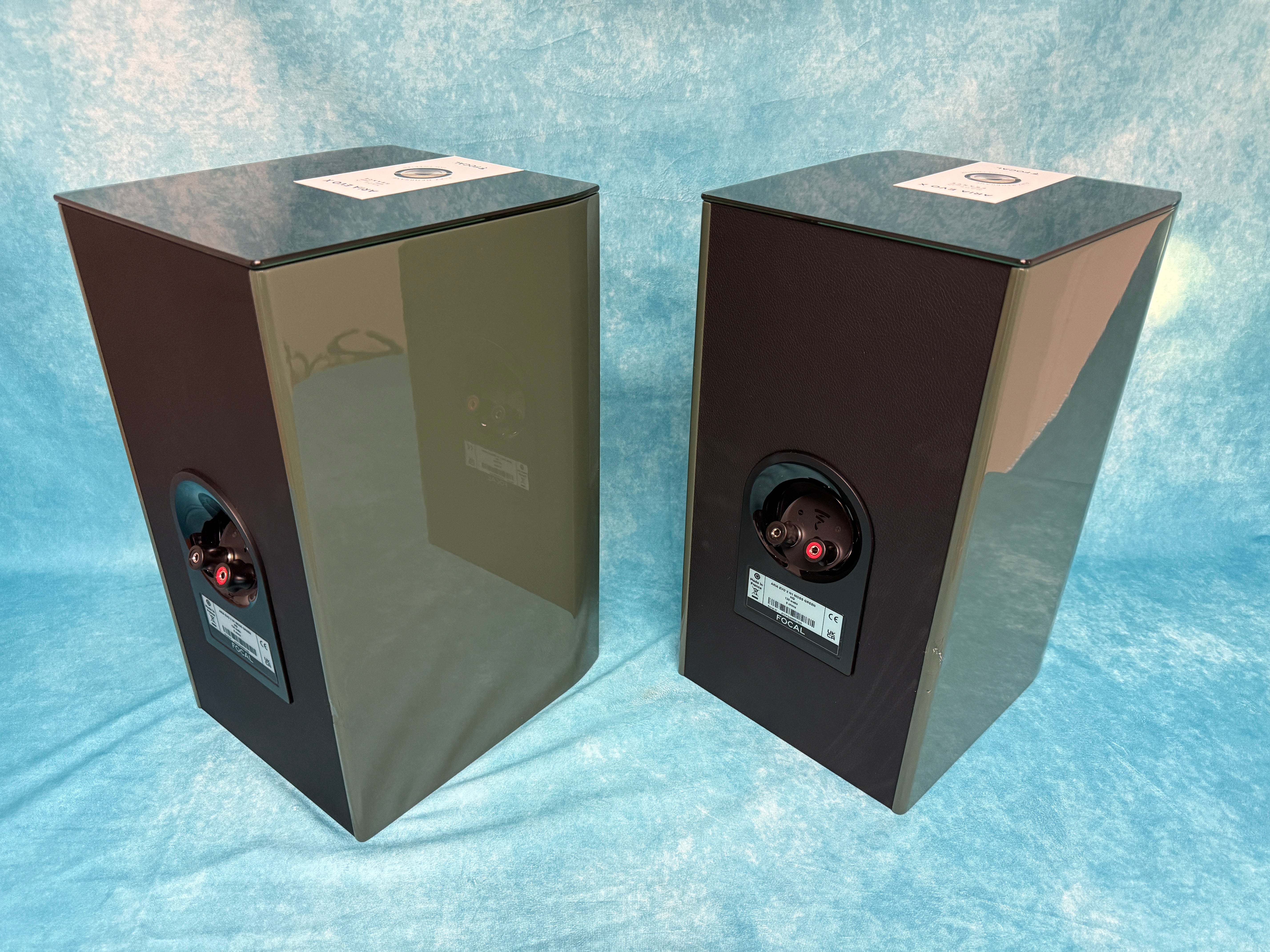 FOCAL:ARIAEVOXN1-MGRN-PR-BSC 7