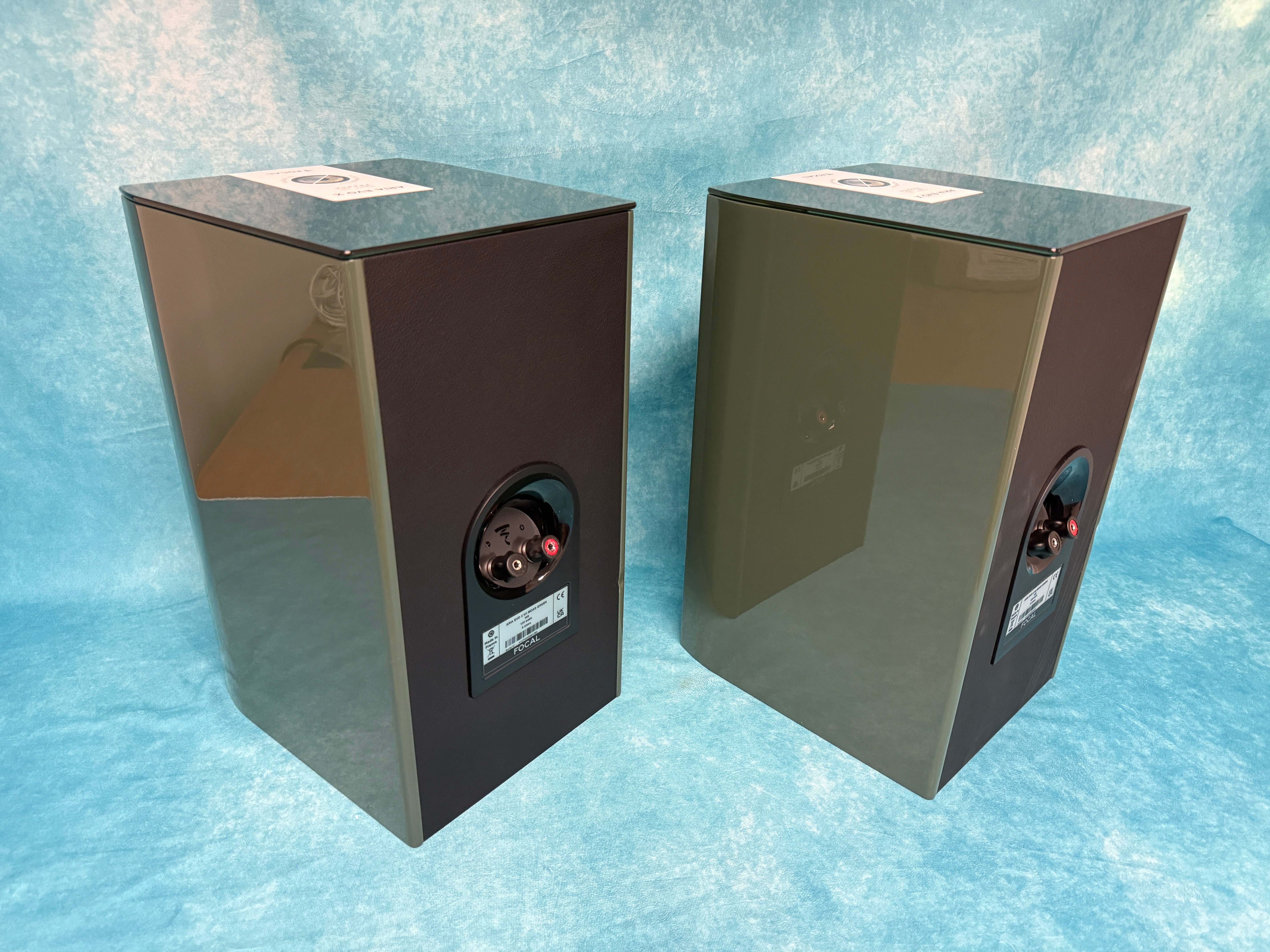 FOCAL:ARIAEVOXN1-MGRN-PR-BSC 6