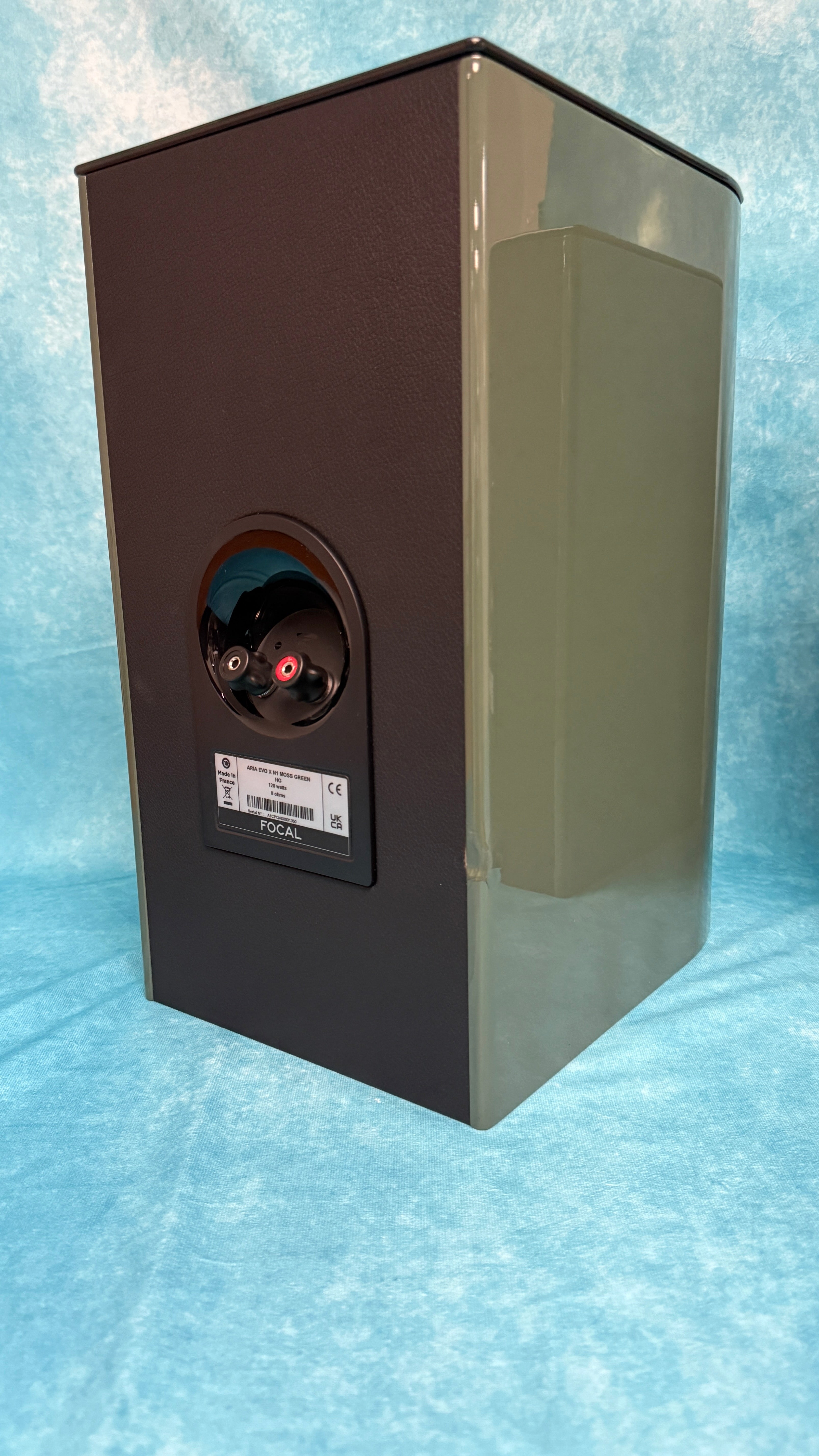 FOCAL:ARIAEVOXN1-MGRN-PR-BSC 10