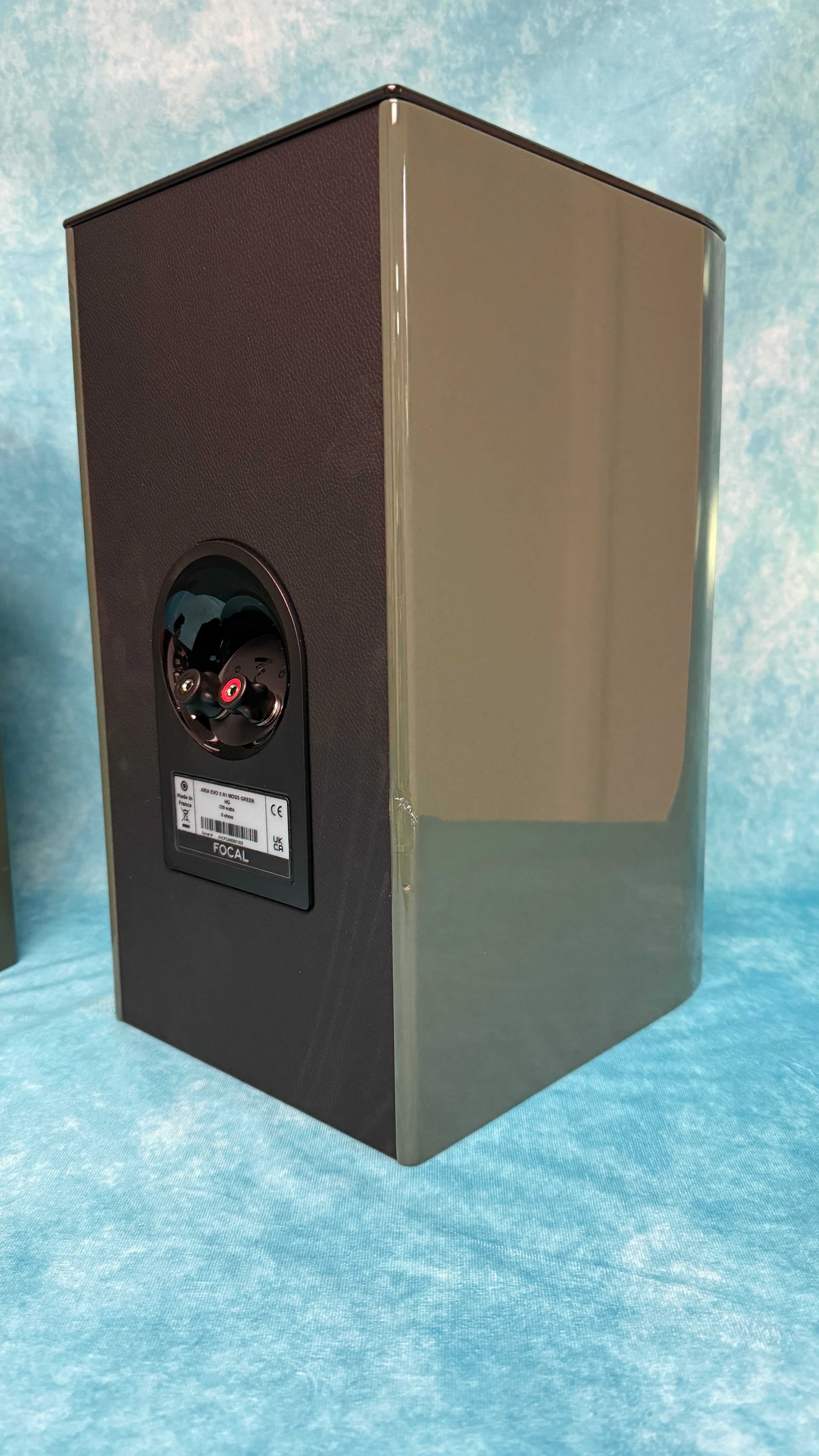 FOCAL:ARIAEVOXN1-MGRN-PR-BSC 12
