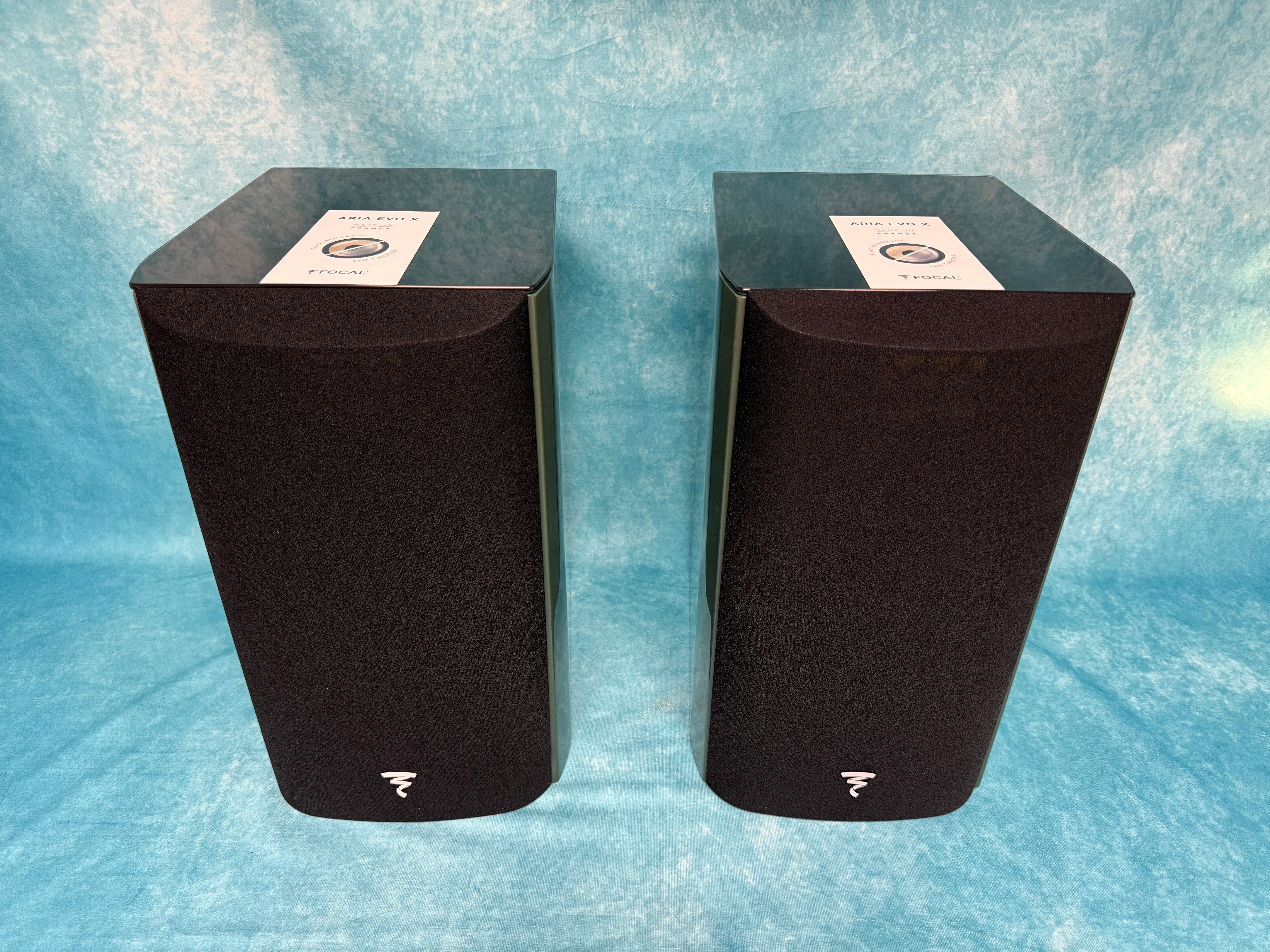 FOCAL:ARIAEVOXN1-MGRN-PR-BSC 14