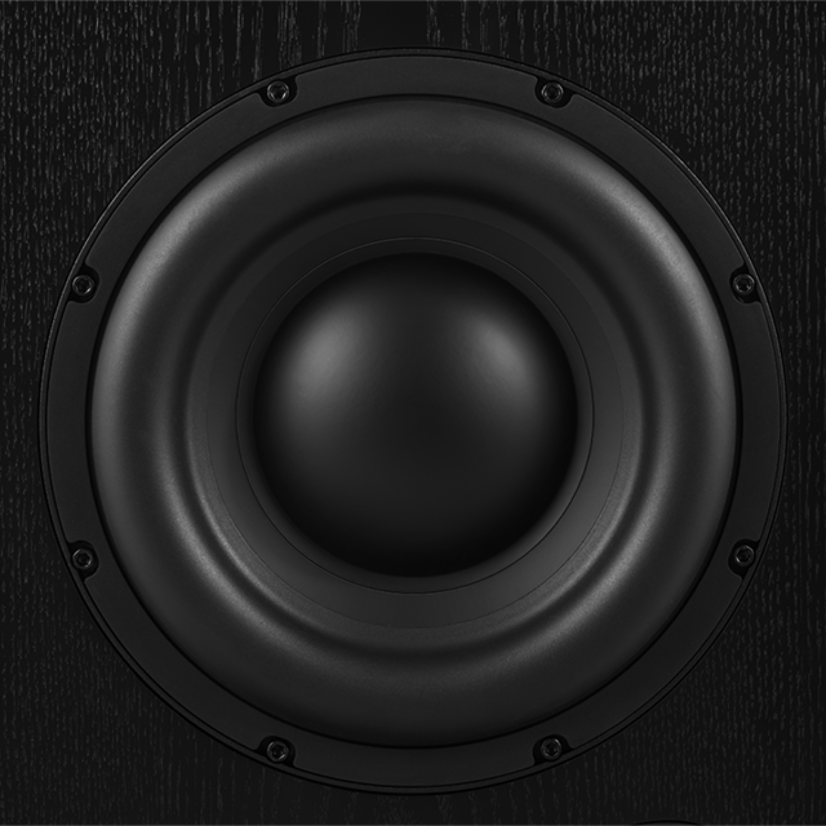 JBL Synthesis SSW-5 12-Inch Front-Firing Subwoofer - Close Up