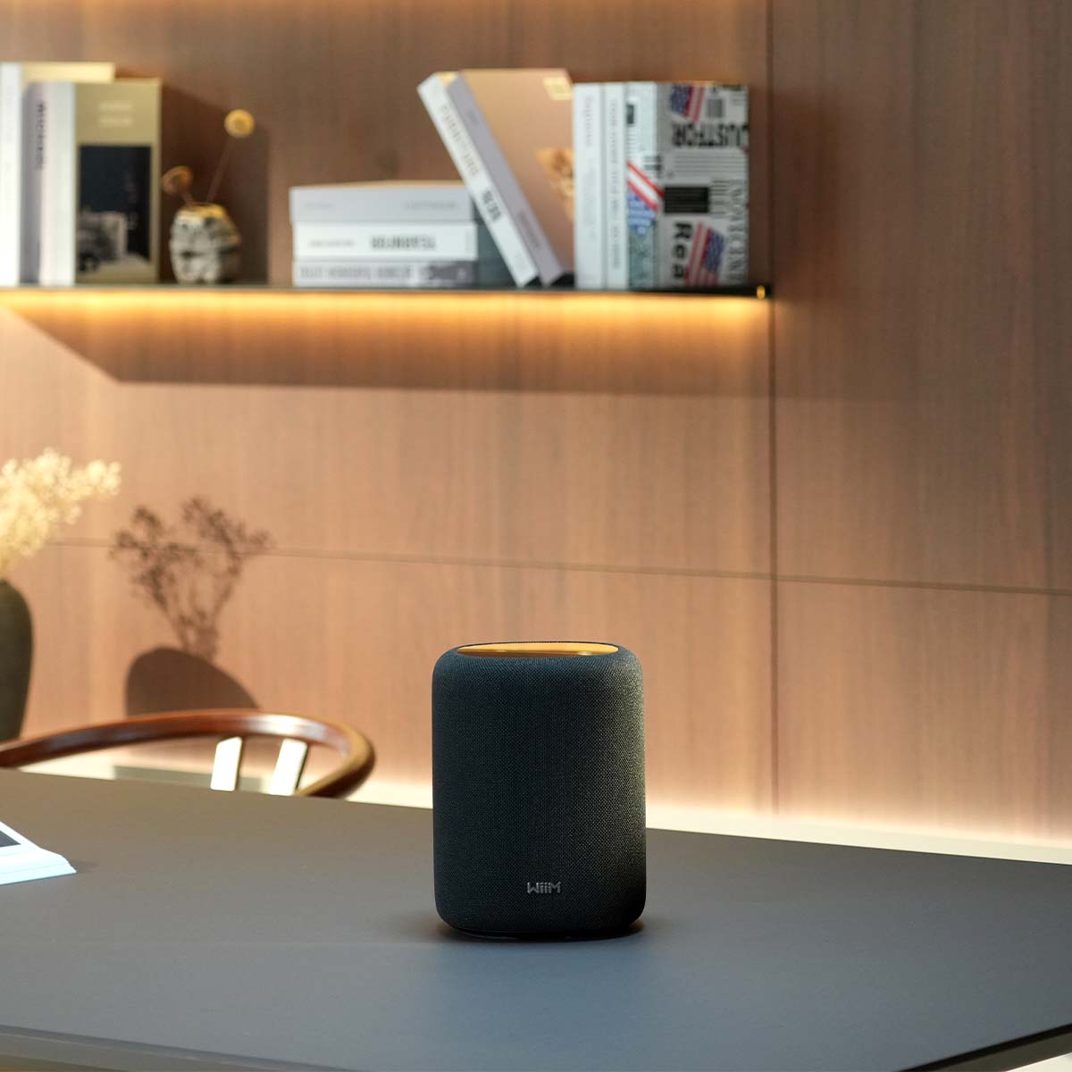 WiiM Sound Lite Smart Speaker - black - lifestyle image