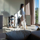 Onkyo Muse Y-50 Network Integrated Amplifier - Silver - lifestyle view of unit on shelf to left with wallking woman in front