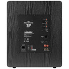 Ascendo Audio The12 SUB Active Vented MKII Subwoofer - Each rear view