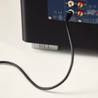 Close-up of a black audio device rear panel with red, white, and gold jacks, with a black REL Acoustics Commander .1/LFE Subwoofer Cable plugged in, on a white background.
