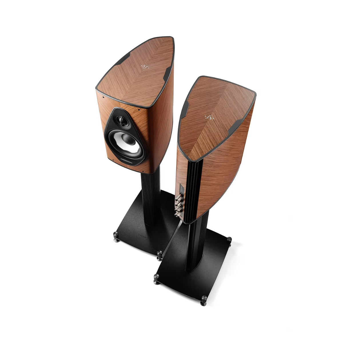 Two Sonus Faber Olympica I G3 Bookshelf Speakers with a warm wood grain finish and black metal stands, shown on a clean white background.