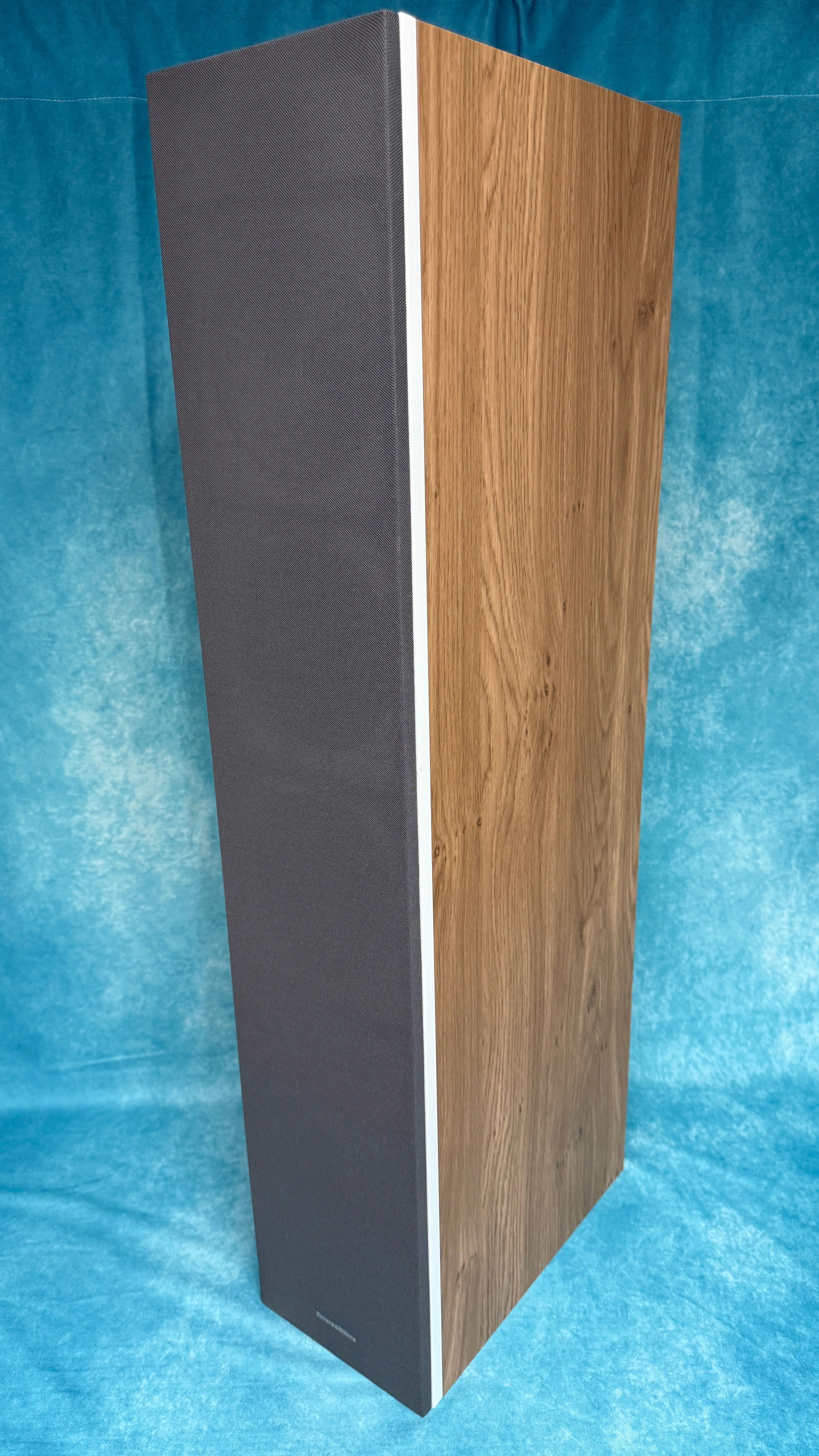 Speaker 1 - Image 4