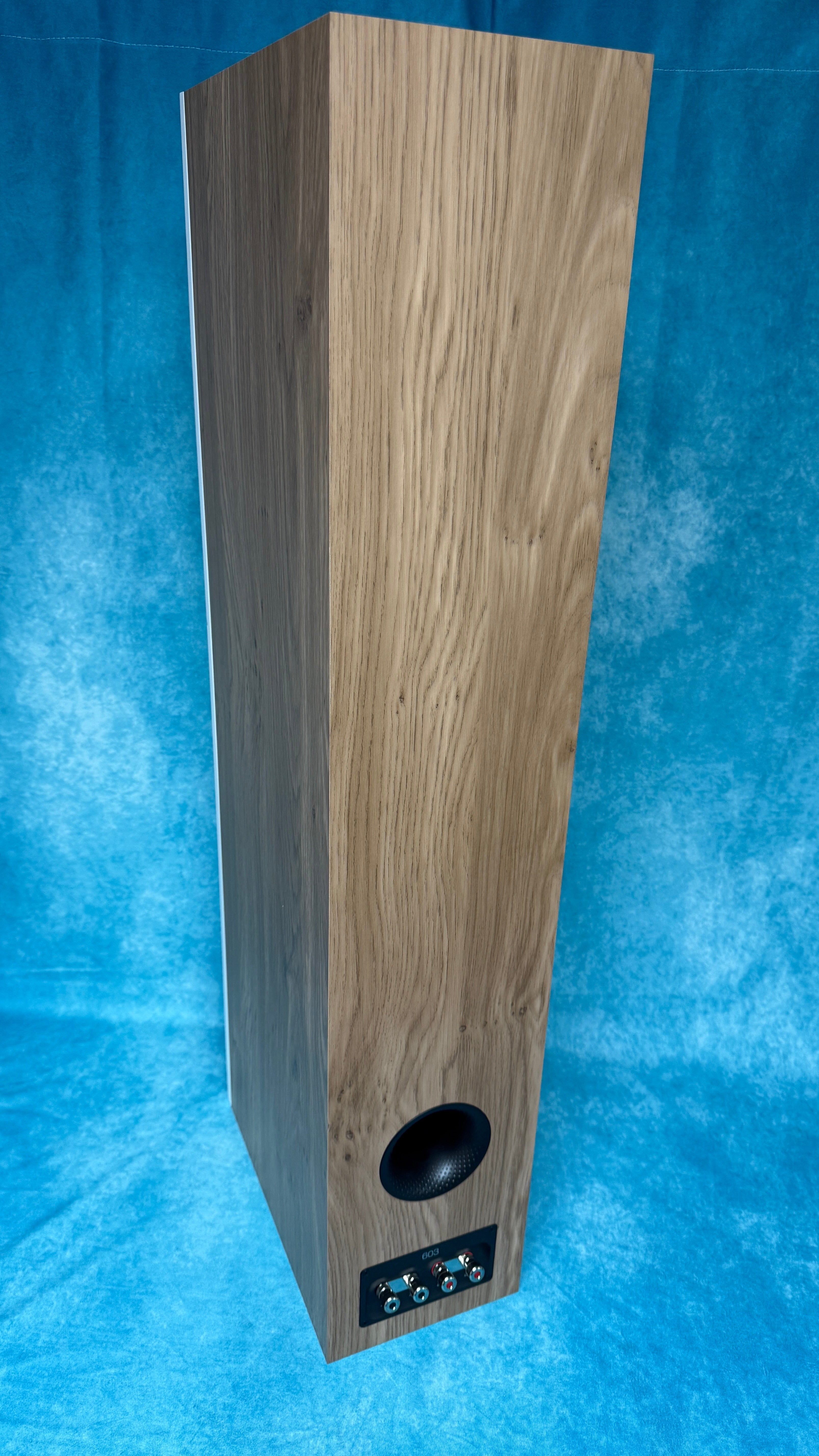 Speaker 1 - Image 5