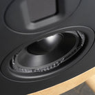 Lyngdorf Cue-100 Speaker closeup detail of speaker woofer