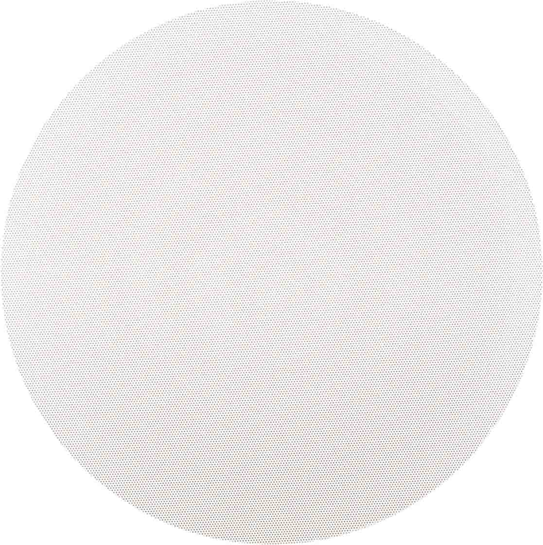 Paradigm CI Pro P65-R v2 In-Ceiling Speaker - Each - front view with grille