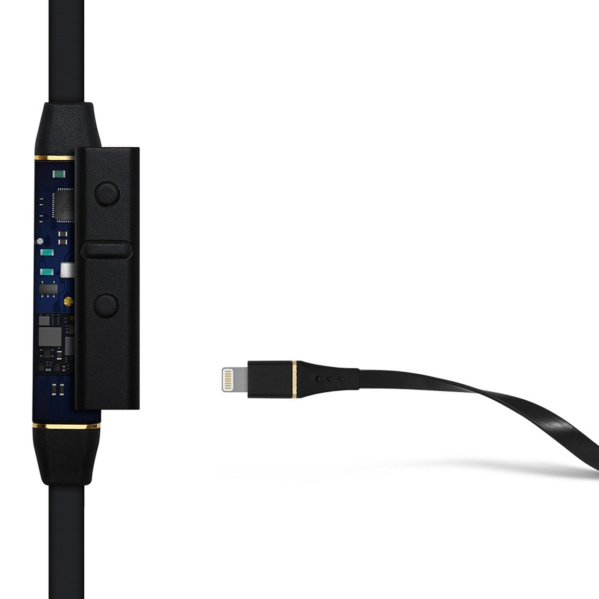 Audeze iSINE10 Accessories