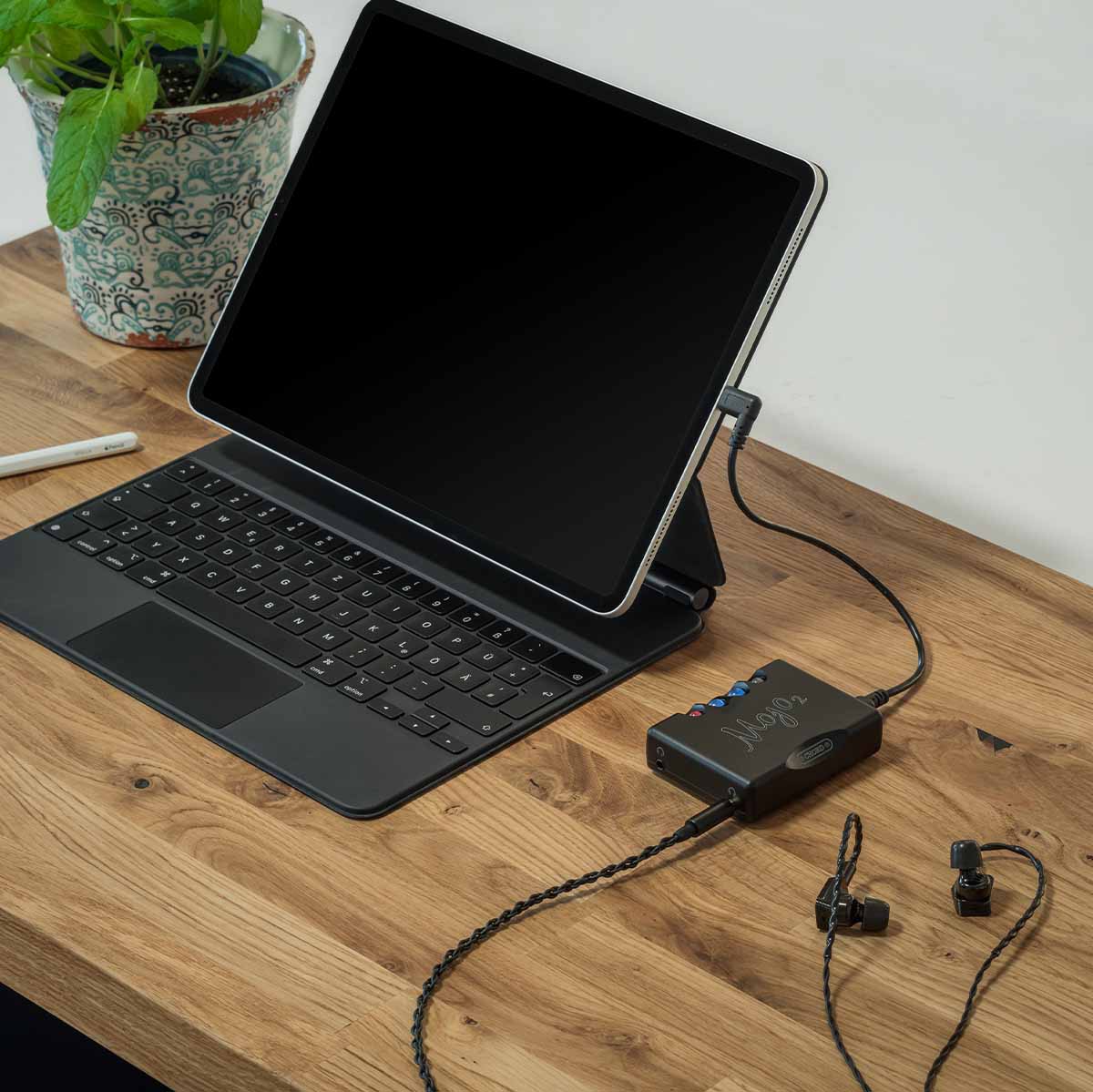USB-C Audio/Data Input