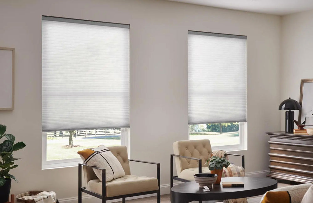 Two chairs in a sitting room in front of two windows with the shades pulled 3/4 of the way down