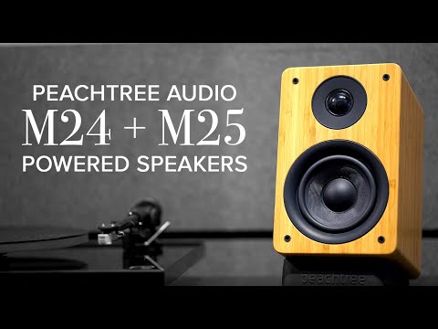 Peachtree Audio M24 Speakers - Thumbnail 3
